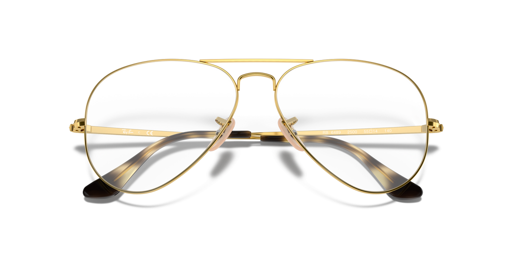 Rayban RX6489 Aviator